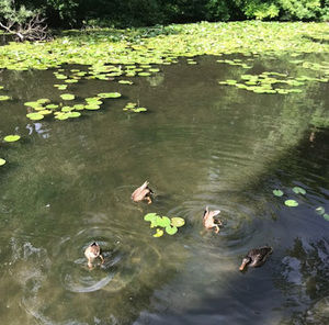 Meet your Posher, Miah